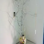 Jasmine A17 Cozy Sunny