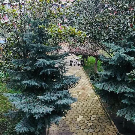 Apartament Jasmine A17 Cozy Sunny
