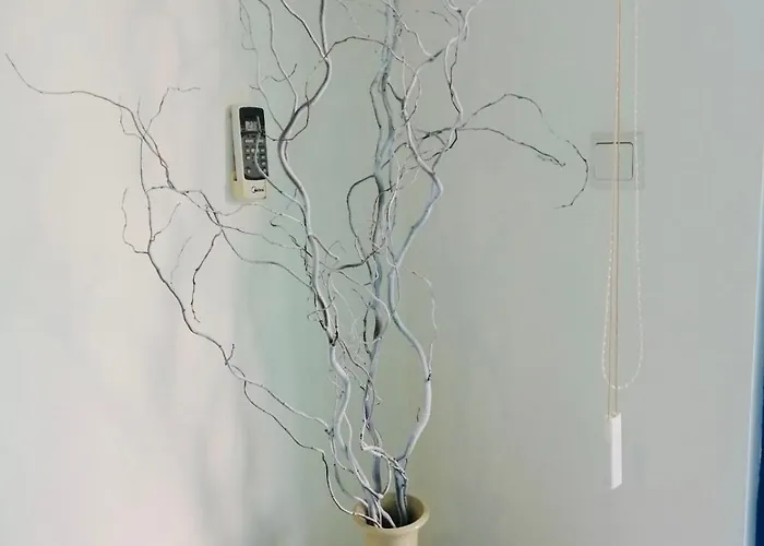 Jasmine A17 Cozy Sunny